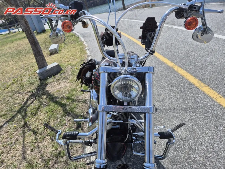 HARLEY-DAVIDSON FXDBI - фото 3