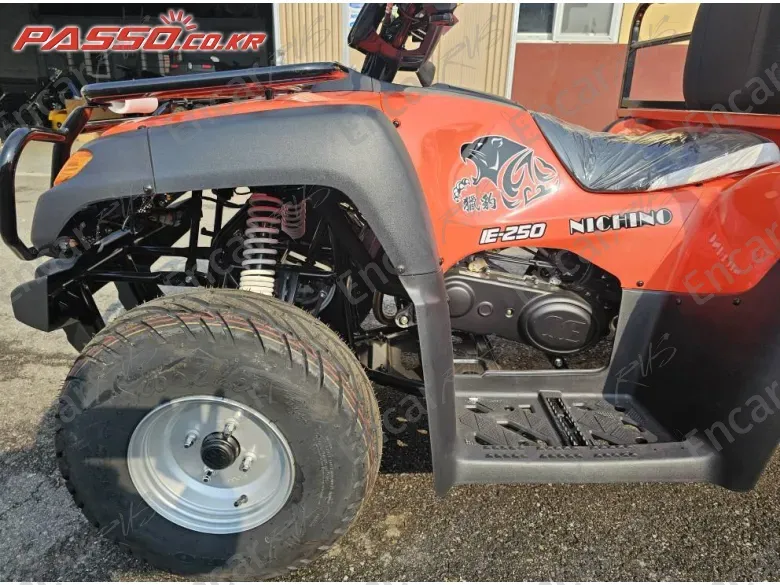 Others Atv - фото 6