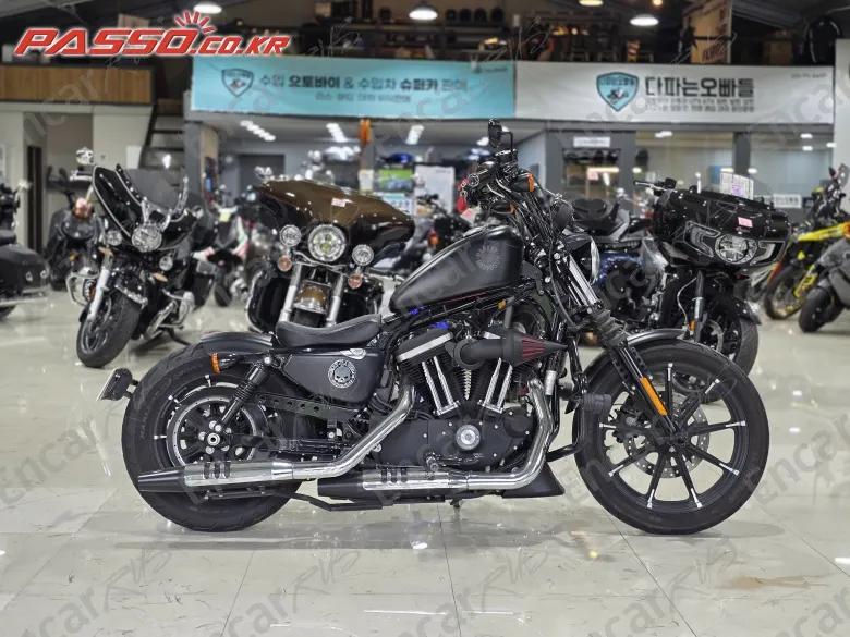 Harley-Davidson XL 883 N 2020, фото 1
