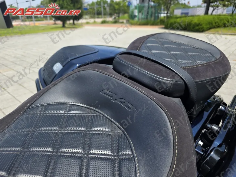 Harley-Davidson Fltrse3 - фото 6