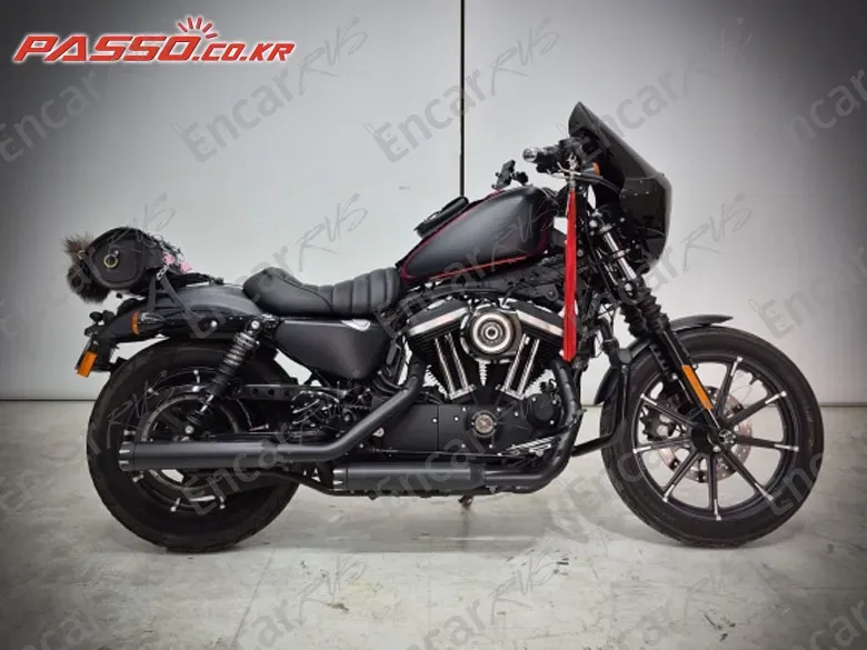 HARLEY-DAVIDSON XL 883 N - фото 0