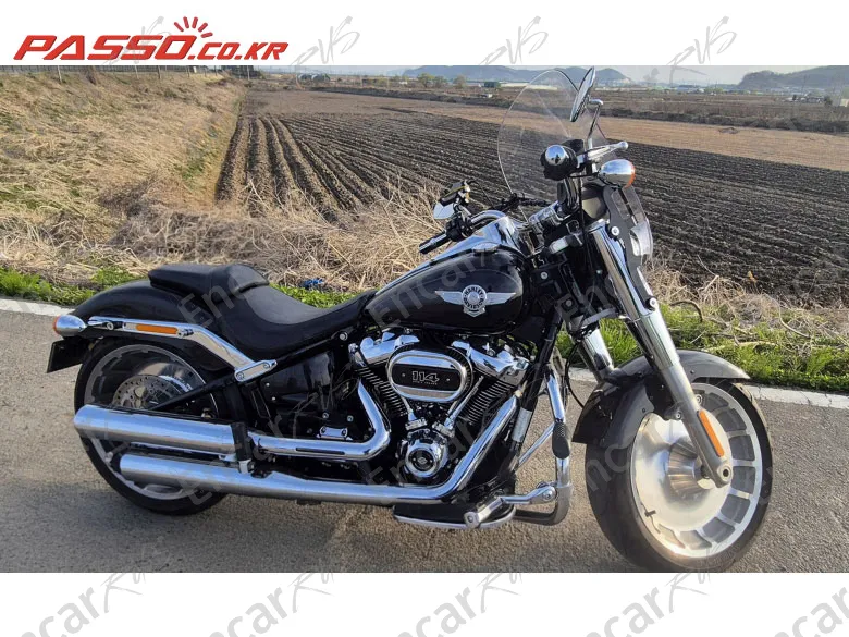 HARLEY-DAVIDSON FAT BOY 114 - фото 0