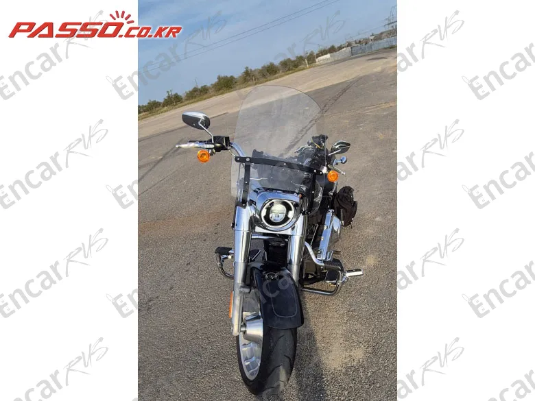 HARLEY-DAVIDSON FAT BOY 114 - фото 1