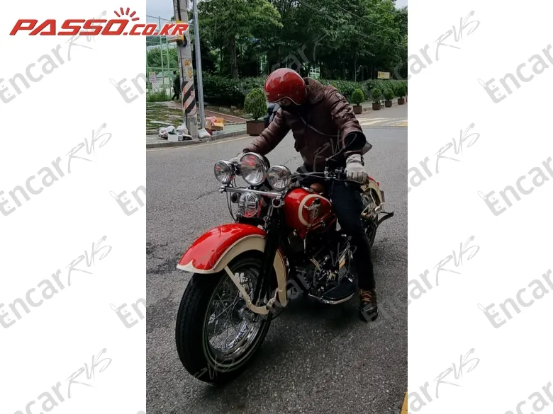 HARLEY-DAVIDSON FLH - фото 6