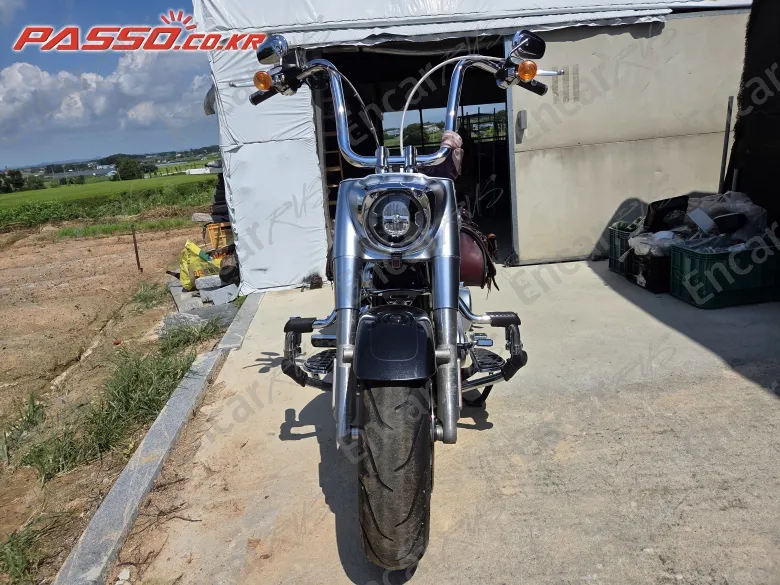 HARLEY-DAVIDSON FAT BOY 107 - фото 6