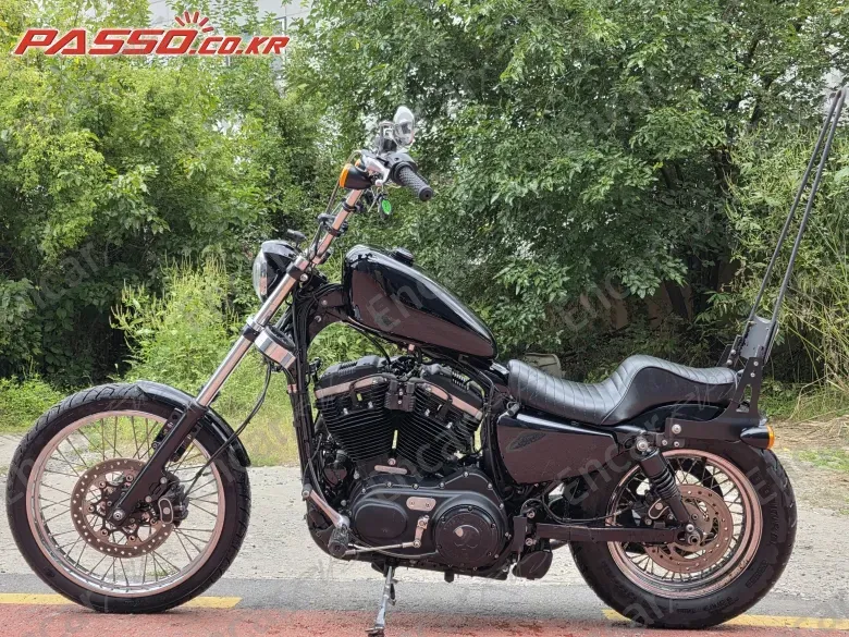 HARLEY-DAVIDSON XL 883 N - фото 1