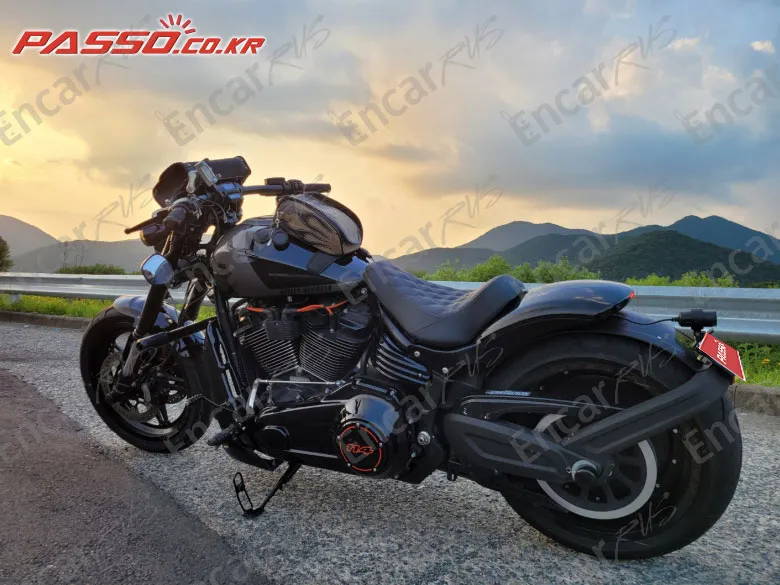 Harley-Davidson Fxdr 114 - фото 6