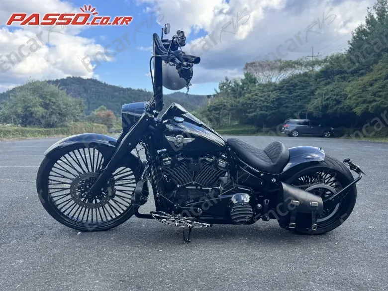 HARLEY-DAVIDSON FAT BOY 107 - фото 1