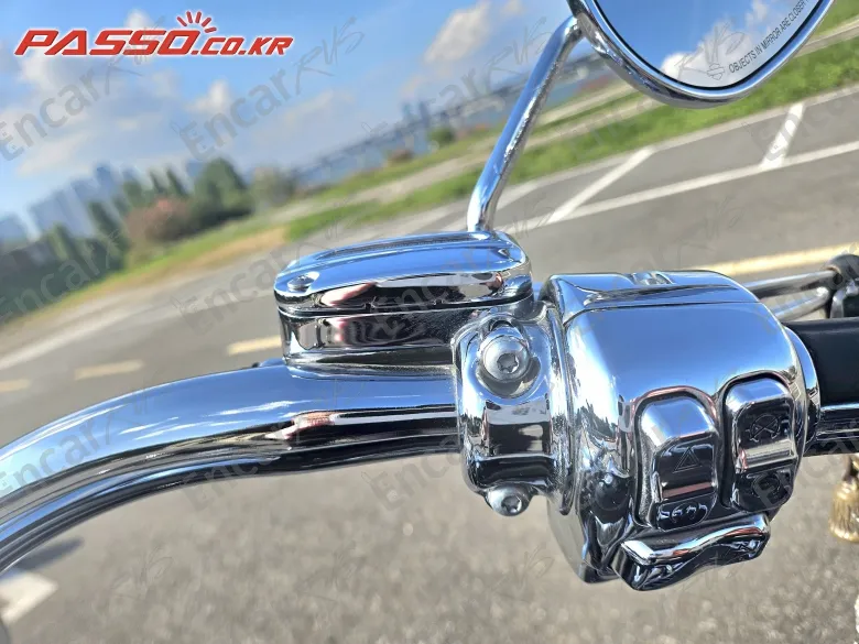 HARLEY-DAVIDSON FLHR - фото 3
