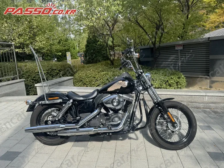 Harley-Davidson Fxdbi