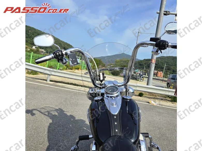 HARLEY-DAVIDSON FLSTC - фото 3
