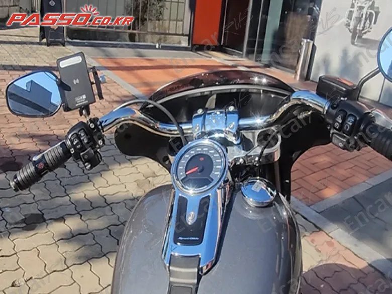 Harley-Davidson Sport Glide - фото 3