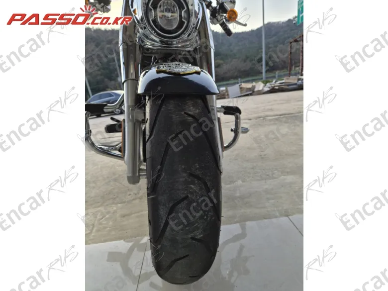 HARLEY-DAVIDSON FAT BOY 114 - фото 5