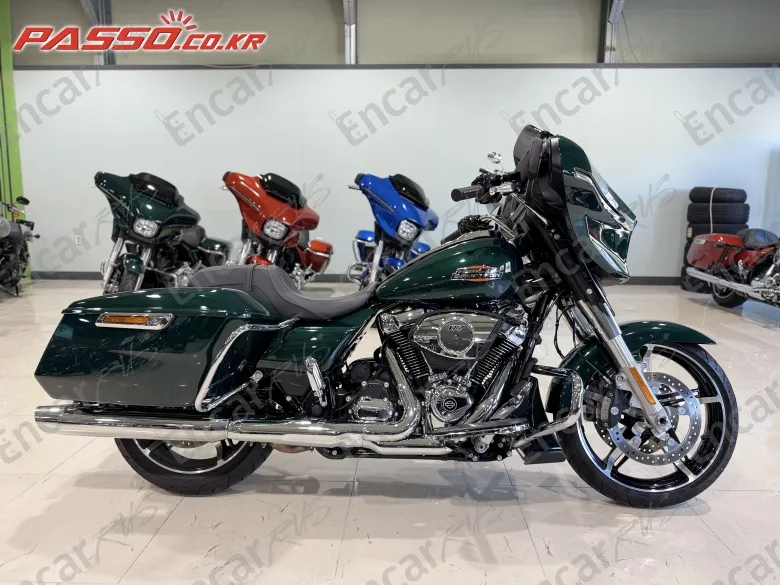 Harley-Davidson Flhx 2024, фото 1