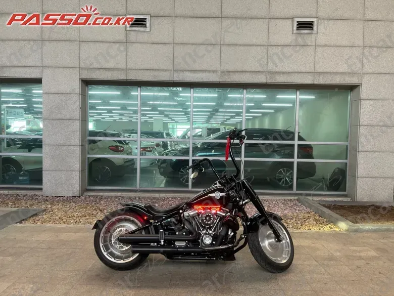 HARLEY-DAVIDSON FAT BOY 107 - фото 0