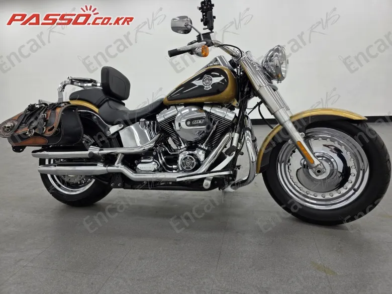 Harley-Davidson Flstf - фото 0