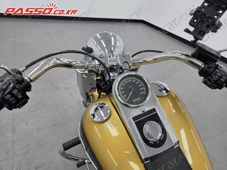 Harley-Davidson Flstf - фото 3
