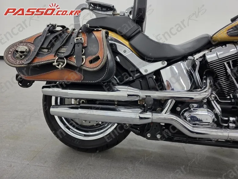 Harley-Davidson Flstf - фото 6