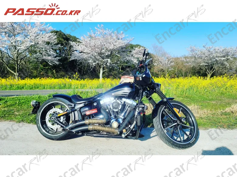 HARLEY-DAVIDSON BREAKOUT - фото 0