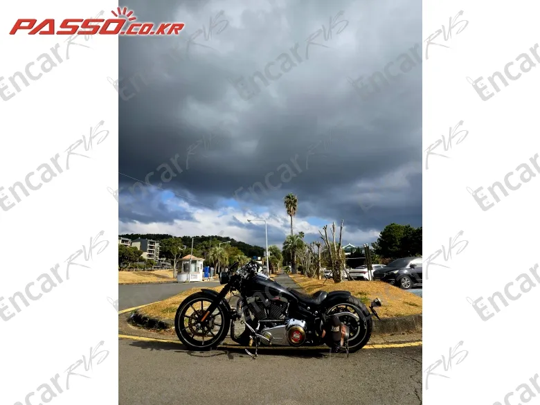 HARLEY-DAVIDSON BREAKOUT - фото 1