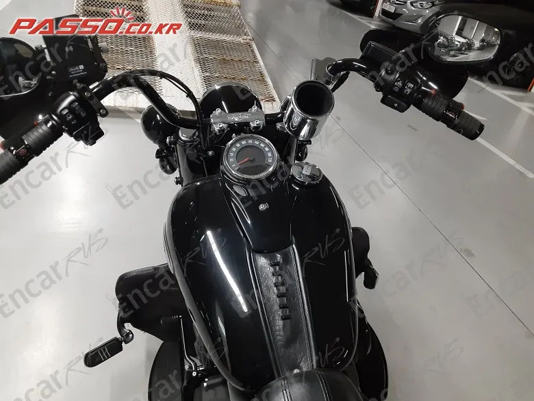 Harley-Davidson Flstc - фото 3