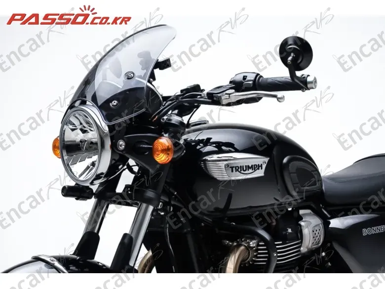 Triumph Bonneville T100 - фото 5