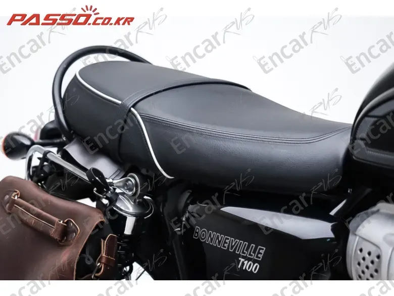 Triumph Bonneville T100 - фото 6