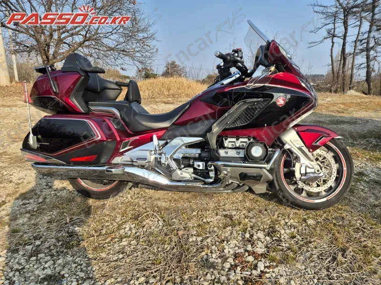 HONDA GOLDWING TOUR DCT AIRBAG - фото 0
