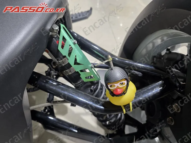 Brp Can-Am Ryker 900 Rally Edition - фото 4