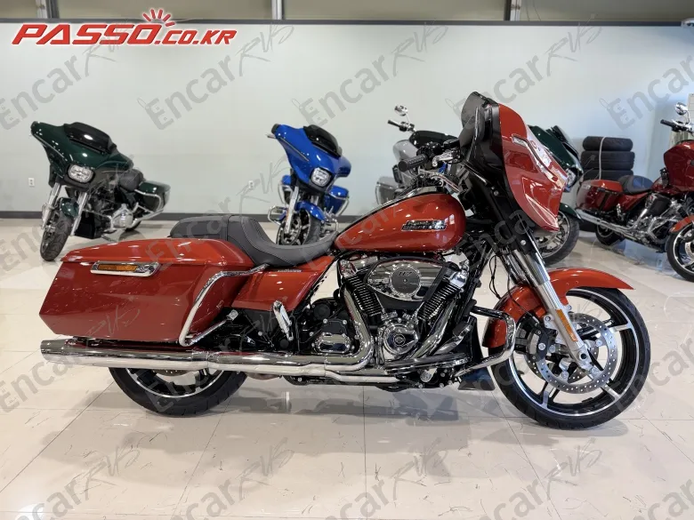 Harley-Davidson Flhx