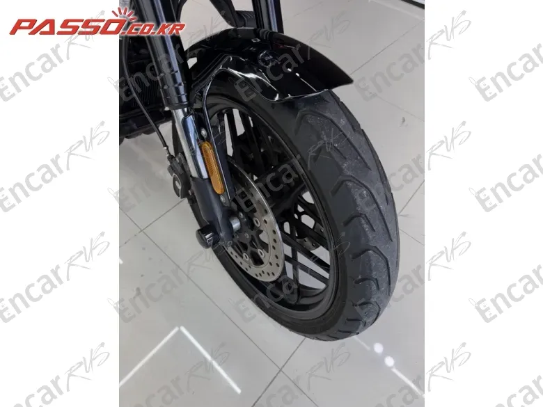 Harley-Davidson Roadster 1200 - фото 5