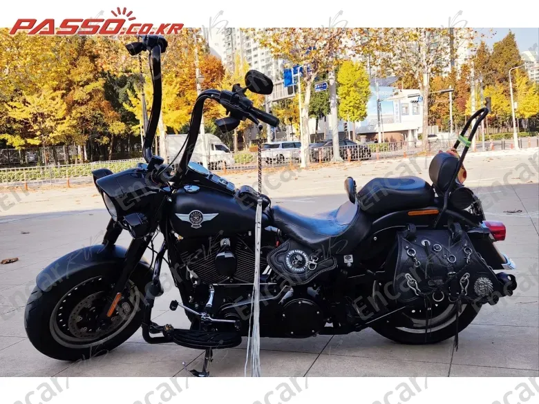 Harley-Davidson Flstfbs - фото 1