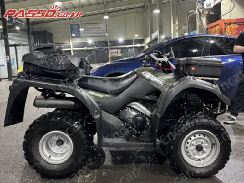 SUZUKI OZARK 250 - фото 0