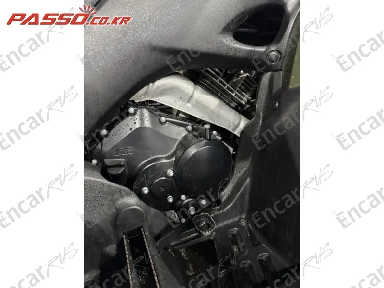 SUZUKI OZARK 250 - фото 4