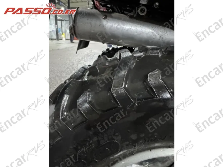 SUZUKI OZARK 250 - фото 6