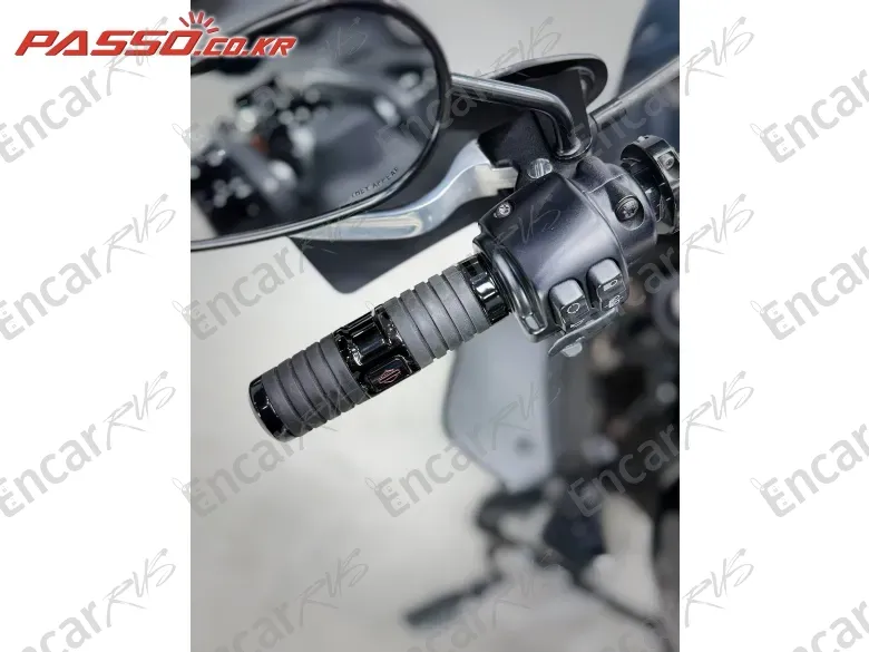 Harley-Davidson Low Rider St - фото 3