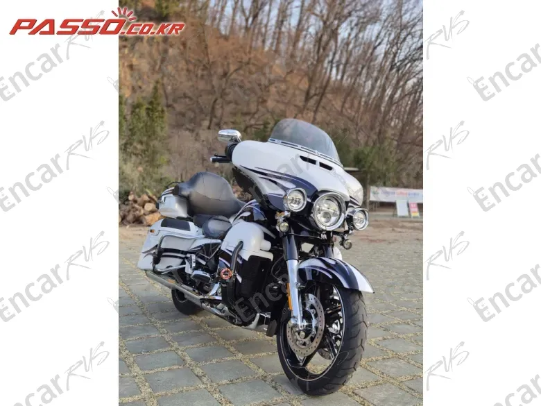 HARLEY-DAVIDSON FLHXSE - фото 1