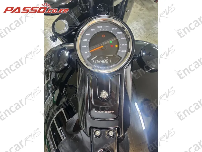 HARLEY-DAVIDSON FAT BOY 114 - фото 3