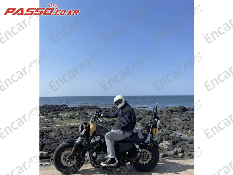HARLEY-DAVIDSON XL 1200 X FORTY EIGHT 48 - фото 5