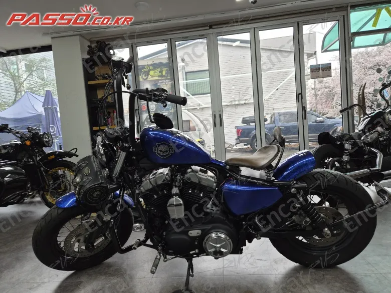 Harley-Davidson Xl 1200 X Forty Eight 48 - фото 1