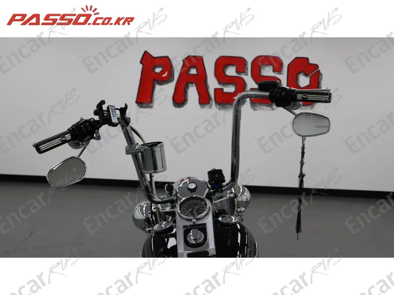 Harley-Davidson Flstf - фото 3