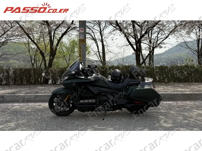 Honda Goldwing Mt - фото 1