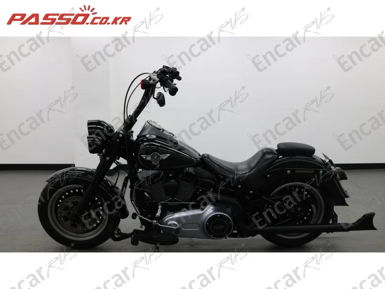 Harley-Davidson Flstf - фото 1