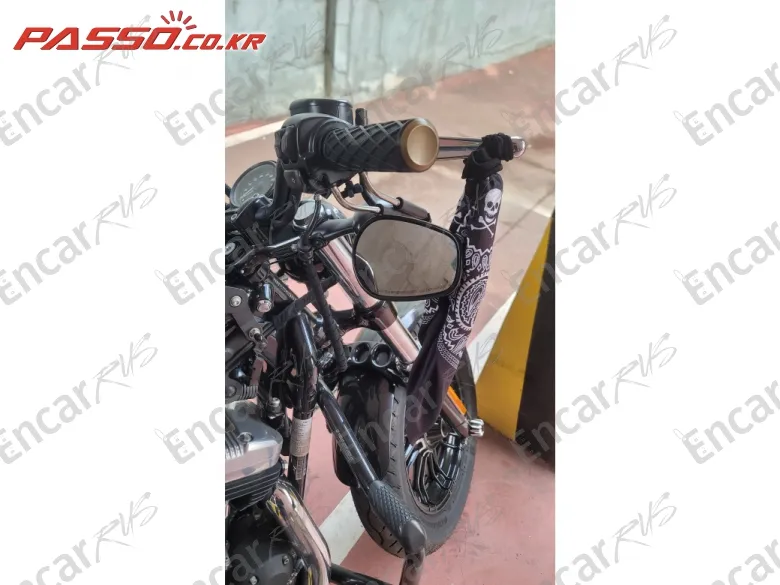 Harley-Davidson Xl 1200 X Forty Eight 48 - фото 3