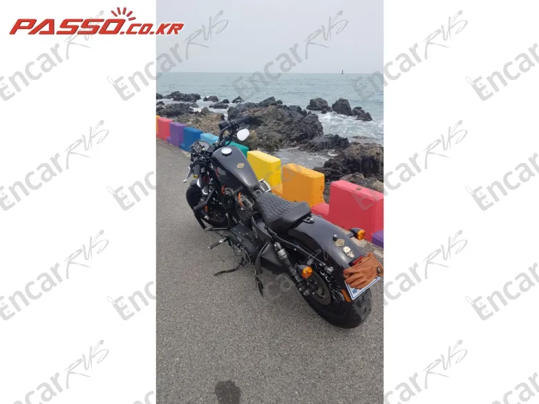 Harley-Davidson Xl 1200 X Forty Eight 48 - фото 4
