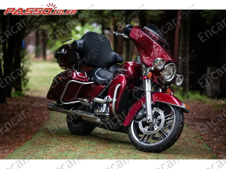 HARLEY-DAVIDSON FLHX - фото 0