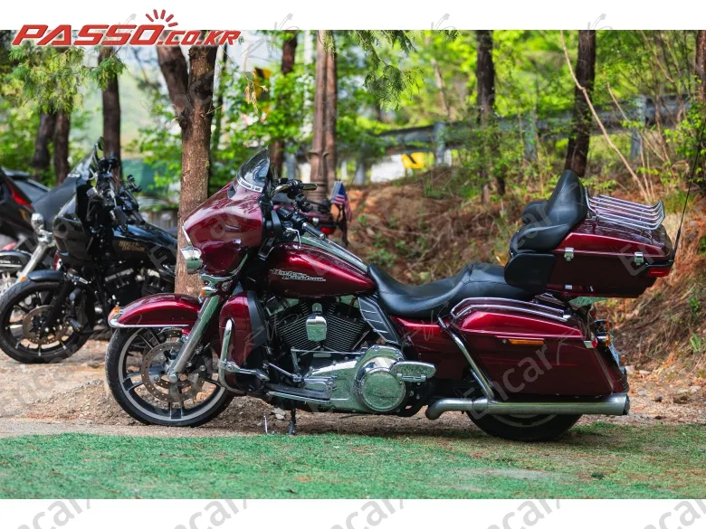 HARLEY-DAVIDSON FLHX - фото 2