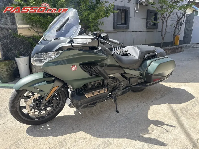 Honda Goldwing Mt - фото 1