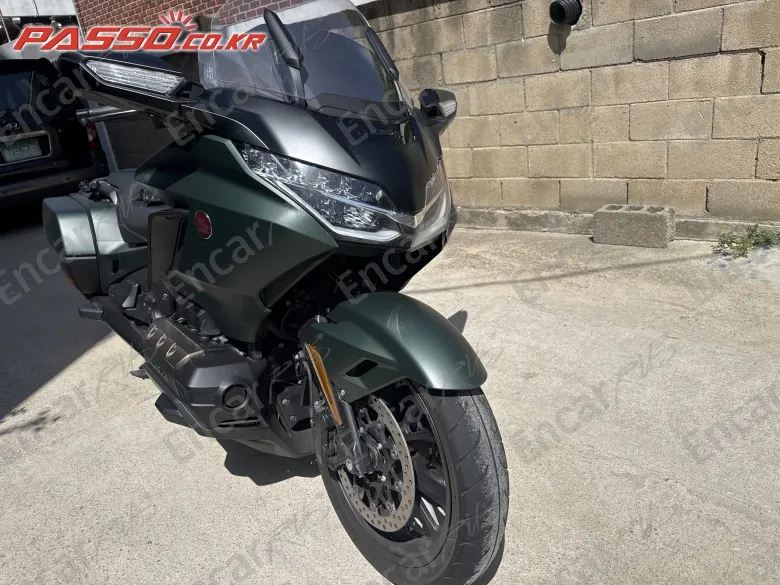 Honda Goldwing Mt - фото 6