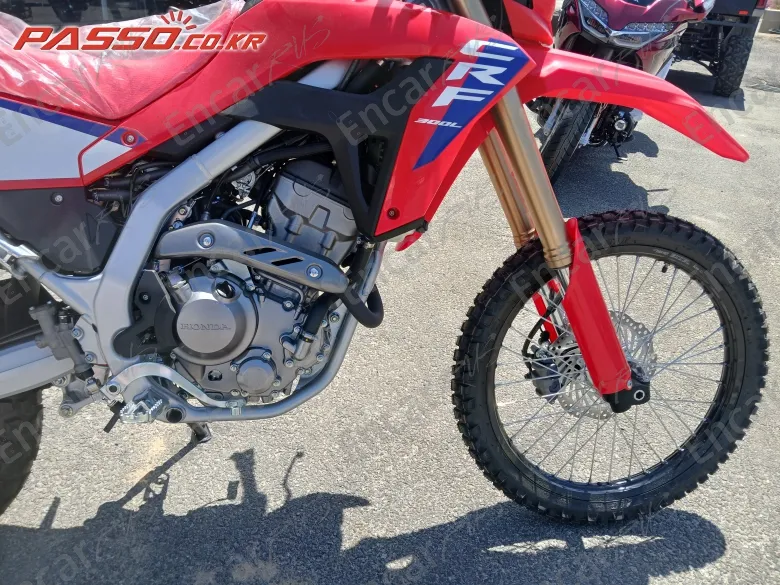 Honda Crf 300 L - фото 4